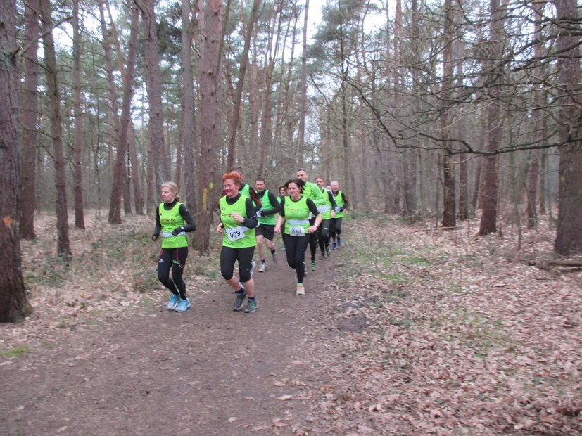 Bosloop Brecht - 01